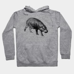 Pygmy hippopotamus Hoodie